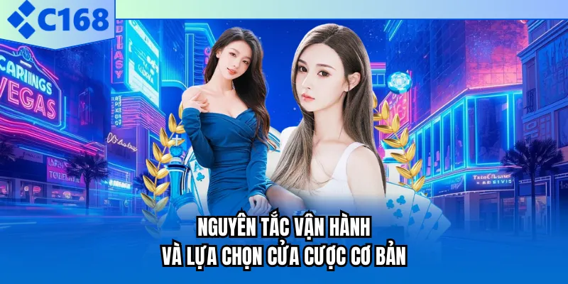 Nguyên tắc vận hành và lựa chọn cửa cược cơ bản Nguyên tắc vận hành và lựa chọn cửa cược cơ bản