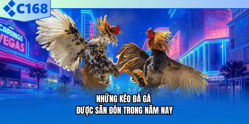 Những kèo đá gà được săn đón trong năm nay Những kèo đá gà được săn đón trong năm nay